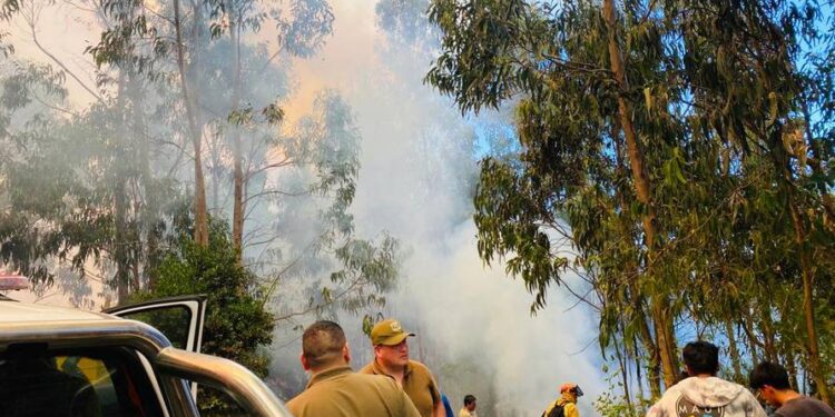 Incendio forestal Chile. Foto @eluniversocom