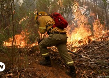 Incendios Chile. Foto DW.