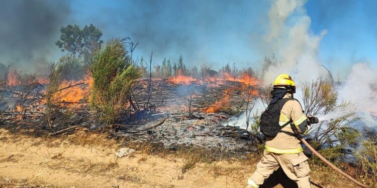 Incendios en Chile. Foto agencias.