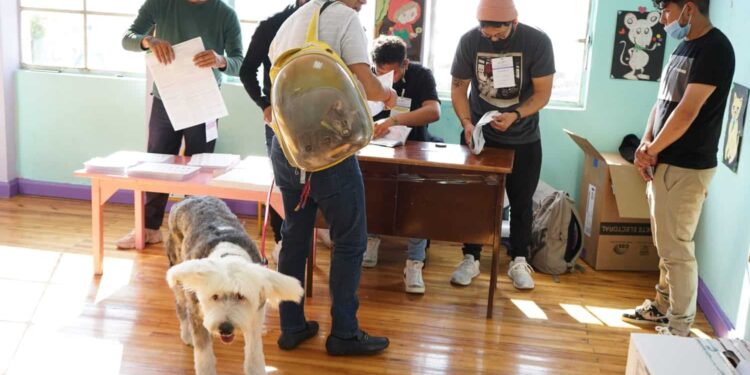 Jorge Yunda, candidato a la Alcaldía de Quito, llegó a al sector de San Roque acompañado de sus dos mascotas. Foto @DiarioExtraEc