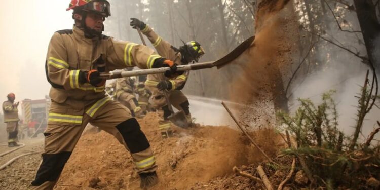 La Unión Europea despliega más de 250 socorristas en incendios de Chile. Foto agencias.