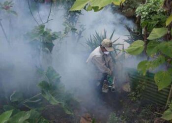 Perú, dengue casos. Foto agencias.