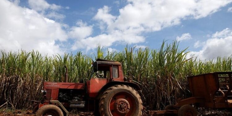 Un tractor cerca de un campo de caña en Florida, Cuba (REUTERS. Carlos García Rawlins)