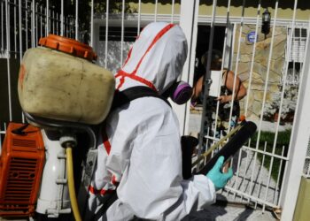 Uruguay, chikungunya. Foto de archivo.