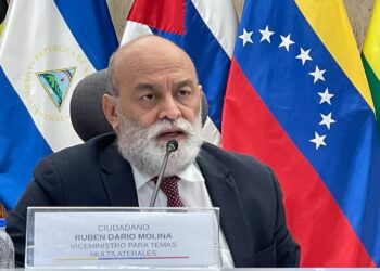 El viceministro para Temas Multilaterales de la Cancillería de Venezuela, Rubén Darío Molina.