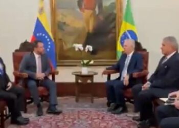 El canciller del régimen de Nicolás Maduro, Yván Gil, y el embajador para el Cambio Climático de Brasil, Luiz Alberto Figueiredo. Foto captura de video.