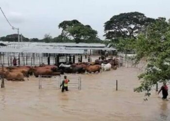 Sur del Lago de Maracaibo. Foto Cortesía.