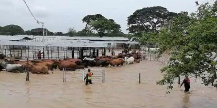 Sur del Lago de Maracaibo. Foto Cortesía.