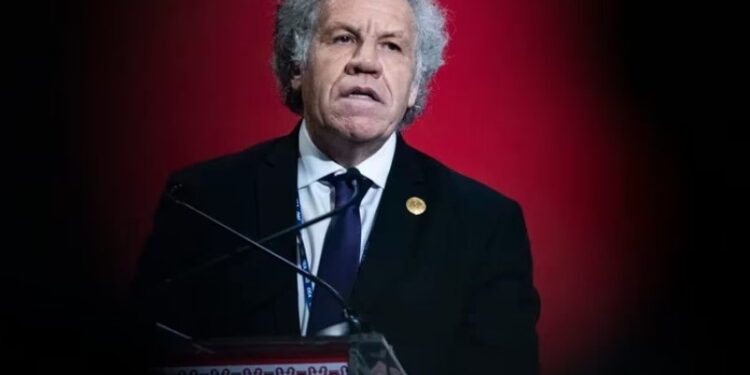 El secretario general de la Organización de Estados Americanos (OEA), Luis Almagro, durante la inauguración de la 52da Asamblea General de la OEA, el 5 de octubre de 2022, en Lima. (AP Foto/Guadalupe Pardo, Archivo)