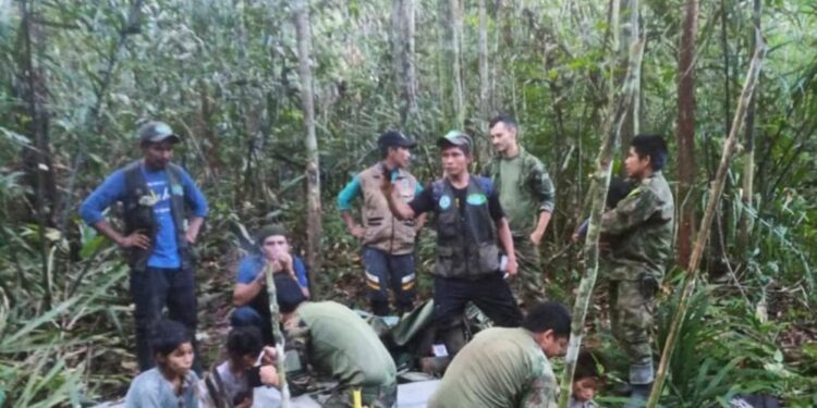 Selva Colombia