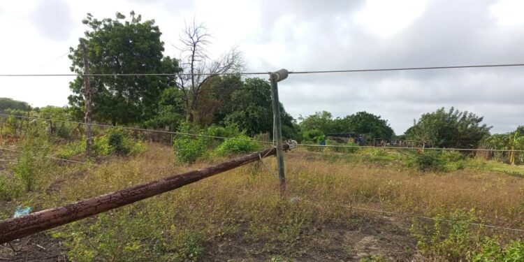 Comunidades en la Guajira. Caída de un poste de luz. Foto Radio Fe y Alegría Noticias