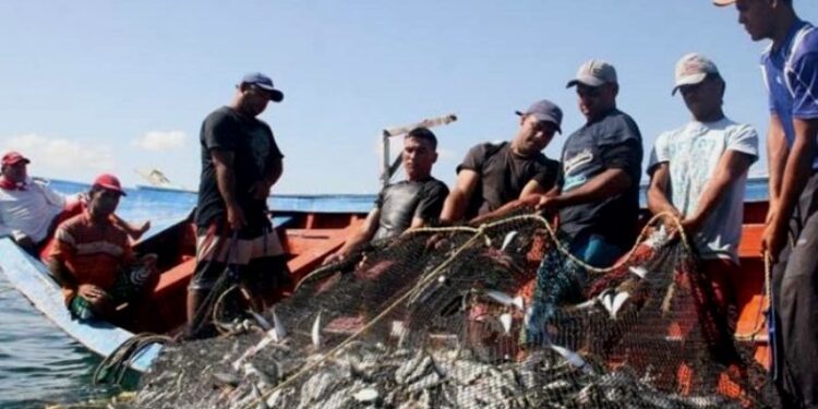 Pescadores. Foto de archivo.