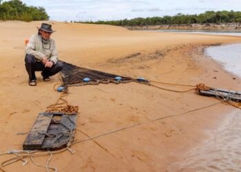 El investigador Carlos A. Lasso trabaja a orillas del río Orinoco.
FELIPE VILLEGAS