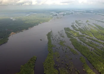 Amazonía