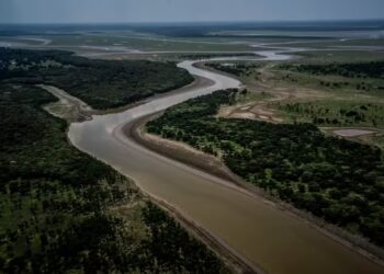 Imagen de archivo del Amazonas (Brasil) (EFE/Raphael Alves)