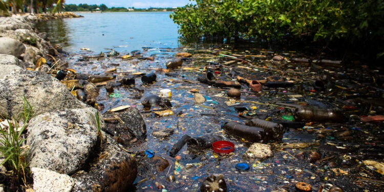 MARACAIBO, VENEZUELA, 17-10-2022 . RESTOS DE CONTAMINACION POR PETROLEO EN RIBERAS DEL LAGO DE MARACAIBO.