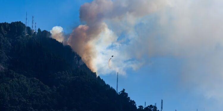 Incendio forestal en los cerros orientales en Bogotá. Foto JOHAN TORO.