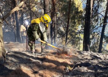 This handout picture released by the Colombian Armed Forces shows a soldier putting out forest fires in Bogota on January 23, 2024. At least four active forest fires hit several regions of Colombia and the capital Bogota this Tuesday, amid a wave of conflagrations due to high temperatures derived from the El Niño phenomenon, authorities reported. (Photo by Handout / Colombian Armed Forces / AFP) / RESTRICTED TO EDITORIAL USE - MANDATORY CREDIT "AFP PHOTO / COLOMBIAN ARMED FORCES" - NO MARKETING NO ADVERTISING CAMPAIGNS - DISTRIBUTED AS A SERVICE TO CLIENTS