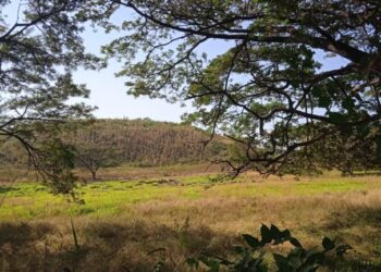 Foto Referencial de una finca. Xiomara López