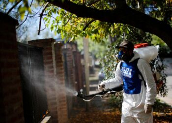 Argentina. Dengue. Foto de archivo.