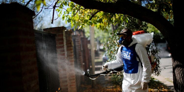 Argentina. Dengue. Foto de archivo.