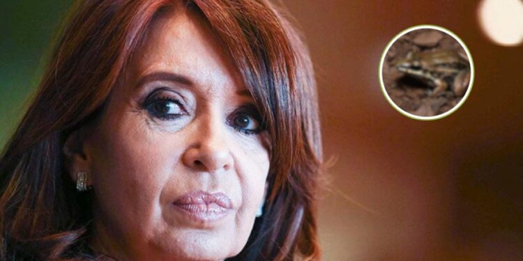 Cristina Fernández de Kirchner