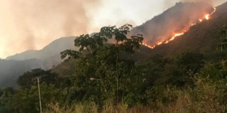 Incendios en el Henri Pittier