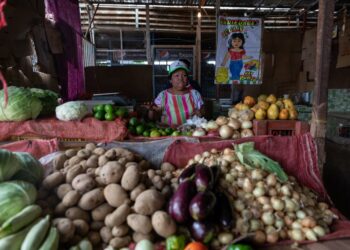 ACOMPAÑA CRÓNICA VENEZUELA ECONOMÍA / AME2728. SAN FELIX (VENEZUELA), 21/04/2022.- Una vendera espera clientes en su puesto de venta de frutas y hortalizas, el 31 de marzo, en el mercado municipal de San Félix, estado Bolívar (Venezuela). La falta de dinero en efectivo, la inflación superior a la media, el elevado precio del transporte y la acentuada brecha social rigen la economía de Bolívar, el estado minero de Venezuela en el que las riquezas naturales dejaron de reportar beneficios y convirtieron a la región en una burbuja donde todo es más caro que en el resto del país. EFE/ Rayner Peña R.