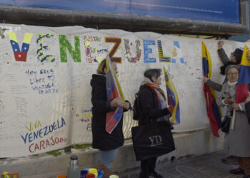 AME5535. BUENOS AIRES (ARGENTINA), 28/07/2024.- Ciudadanos Venezolanos llegan a votar en las elecciones presidenciales este domingo, en la embajada de Venezuela en Buenos Aires (Argentina). EFE/Matías Martín Campaya