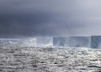 No está claro cuánto tiempo A23a, fotografiado en abril, va a girar en su lugar (Chris Walton, Prospección Antártica Británica vía The New York Times).