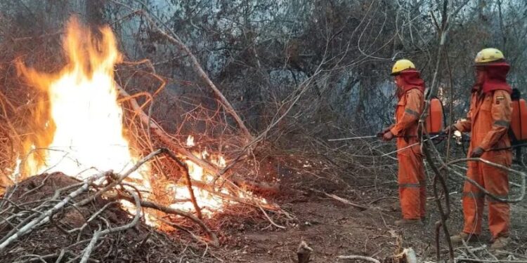 Bomberos combaten el fuego el 11 de septiembre en una comunidad de Santa Cruz. (Photo by Handout / Bolivian Civil Defense / AFP)