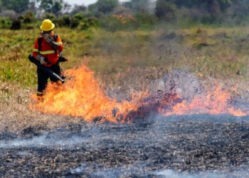 Un bombero trabaja en la extinción de incendios en la región del Pantanal (Brasil). Archivo. EFE/ Rogerio Florentino