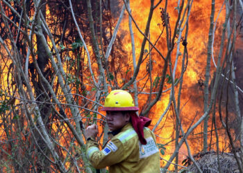 AME9487. PALESTINA (BOLIVIA), 13/09/2024.- Un bombero trabaja apagando un incendio este viernes en la comunidad de Palestina (Bolivia). Muchas comunidades en Bolivia se han convertido en pueblos fantasmas, debido a que el fuego de los incendios acecha a pocos metros de las viviendas, mientras que los niños y ancianos ya fueron evacuados algunos hombres y mujeres se quedaron para combatir las llamas. EFE/ Juan Carlos Torrejón