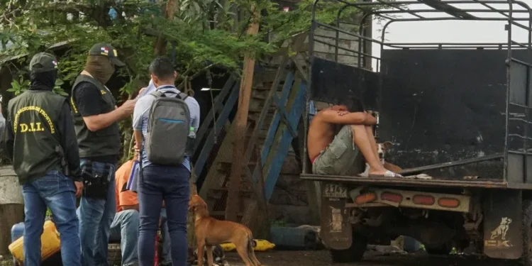 Un detenido se sienta en un camión bajo la vigilancia de la policía fronteriza en las afueras de Santa Fe, en la provincia de Darién, Panamá, el miércoles 7 de agosto de 2024. La policía arrestó a presuntos traficantes de migrantes chinos que ingresan por la selva de Darién en su camino a Estados Unidos.  Foto AP/Abraham Terán