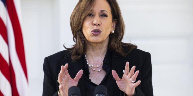 Washington (United States), 23/10/2024.- Vice President and current Democratic presidential nominee Kamala Harris speaks about recent statements from John Kelly, former President Trump's chief of staff, that Trump would rule like a 'fascist', from Harris's residence at the Naval Observatory in Washington, DC, USA, 23 October 2024. Polls show a tightening presidential race between her and Republican former President Donald Trump. (Elecciones) EFE/EPA/JIM LO SCALZO / POOL