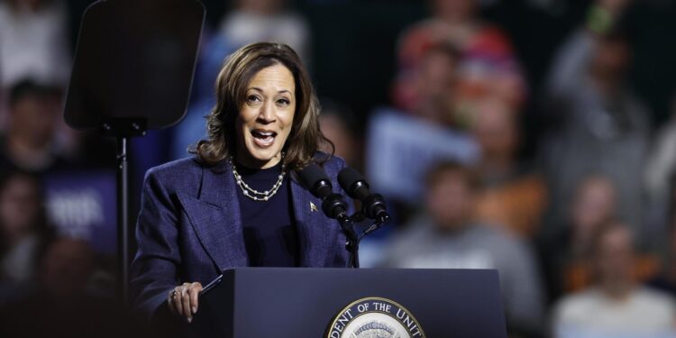 East Lansing (United States), 03/11/2024.- Democratic presidential candidate US Vice President Kamala Harris speaks during a Get Out the Vote rally in East Lansing, Michigan, USA, 03 November 2024. Vice President Harris and Republican candidate former President Trump are tied in the polls with two days until the election on 05 November EFE/EPA/CJ GUNTHER