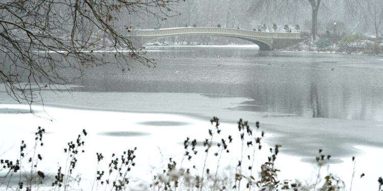 The Bow Bridge in the snow in Central Park January 6, 2025 in New York City as a major winter storm hits the Mid-Atlantic region. - A massive storm system dumped heavy snow and freezing rain on large swaths of the eastern United States Monday, disrupting travel and work for millions of Americans from the Ohio Valley to the capital Washington. (Photo by TIMOTHY A. CLARY / AFP)